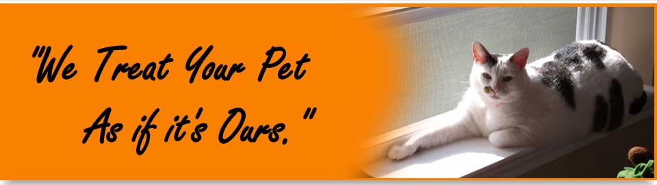 We Treat Your Pet as if it's Ours